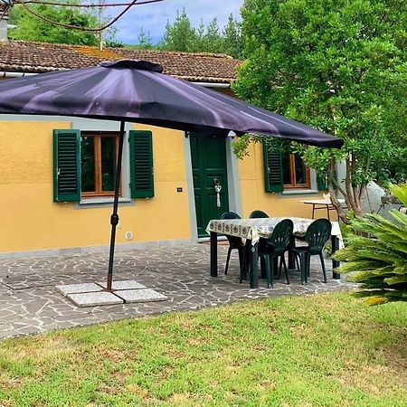 Villino Dragonfly Villa Lastra a Signa Eksteriør billede